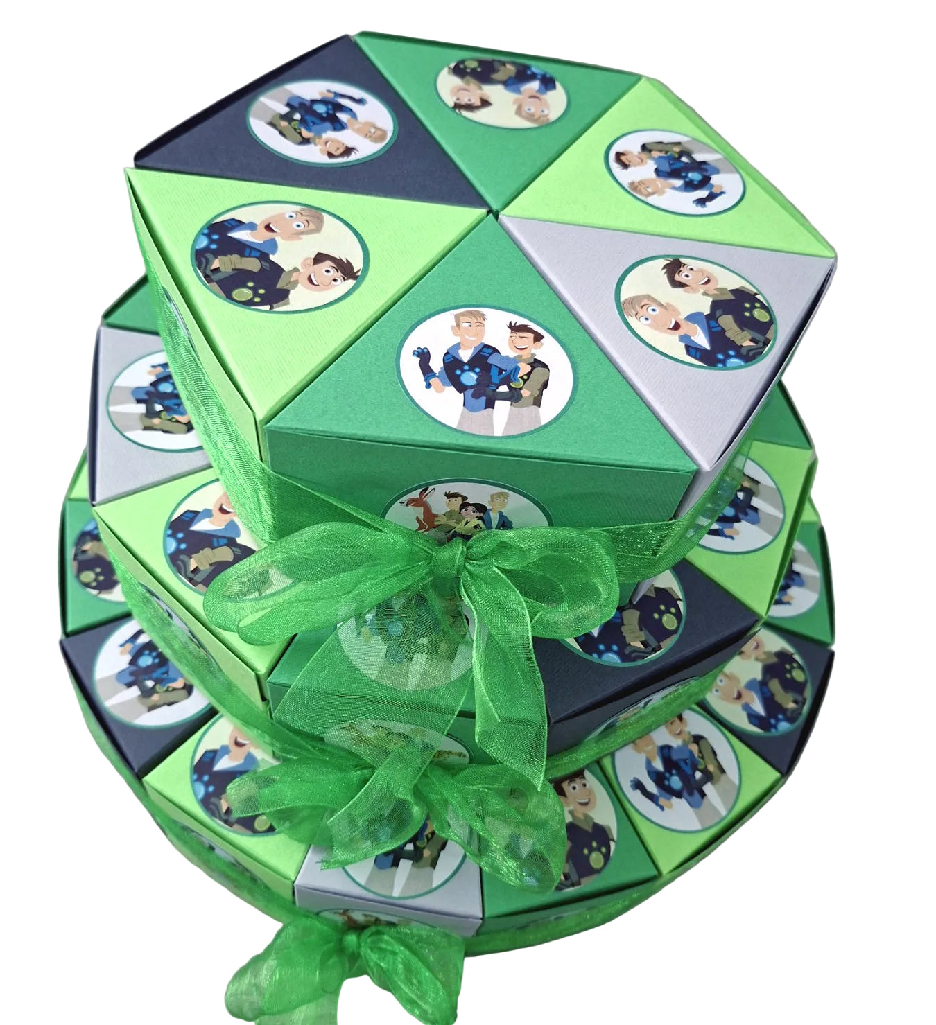 Torta od kartona Braca Kret/Wild Kratts