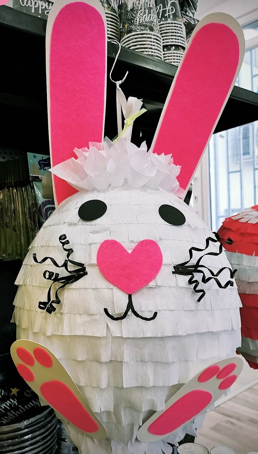 Pinjata Zec | Pinjate univerzalne